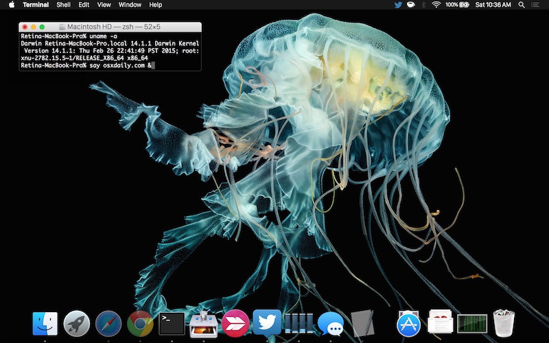 apple-watch-meduse-wallpaper-on-mac