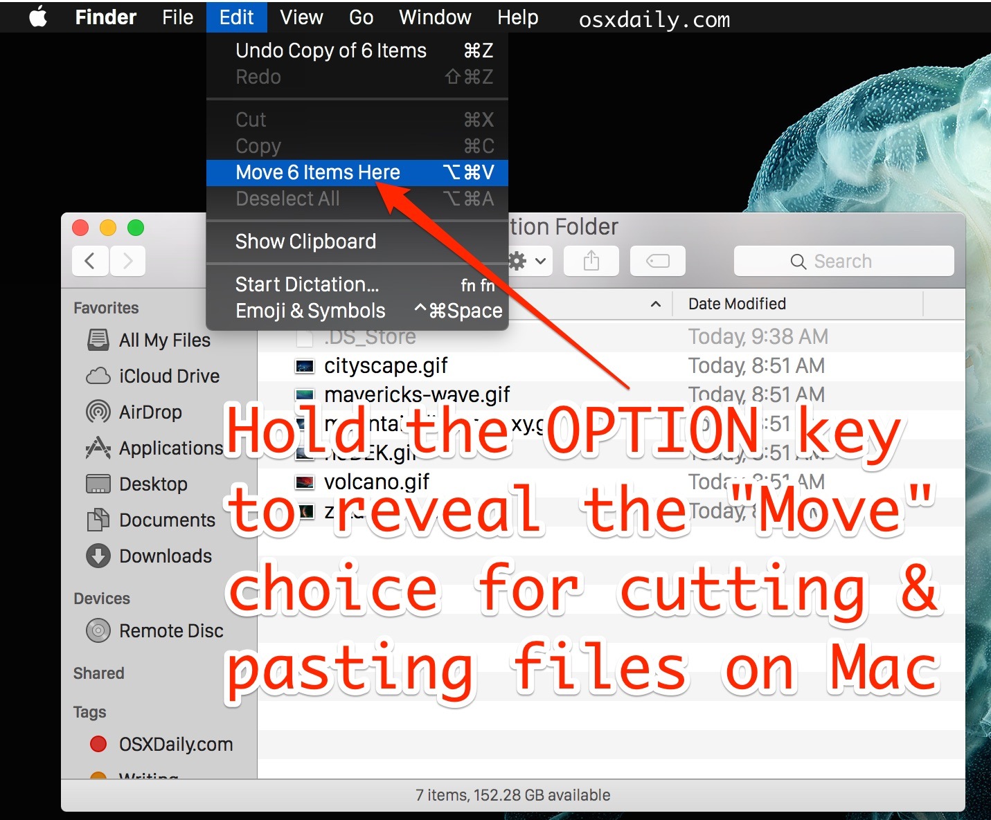 Taglia e incolla i file in Mac OS X con l'opzione Modifica modificatore