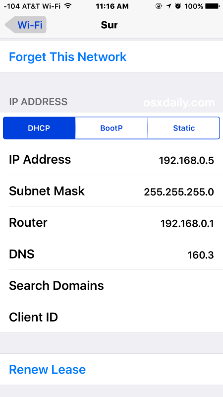 Trova l'indirizzo IP Wi-FI in iOS
