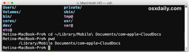 Accedi a iCloud Drive tramite la riga di comando in macOS