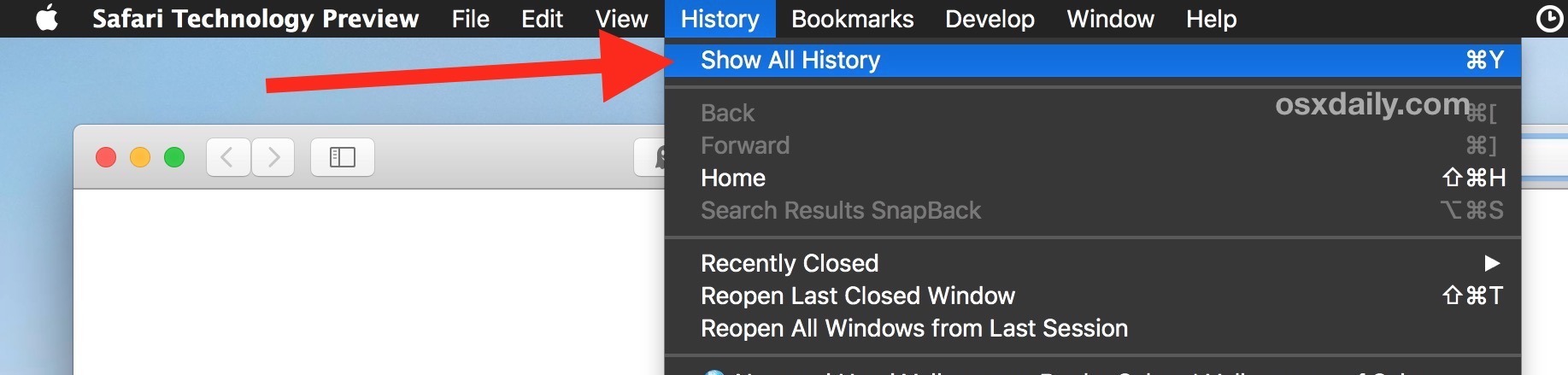 Mostra tutta la cronologia del browser in Safari su Mac