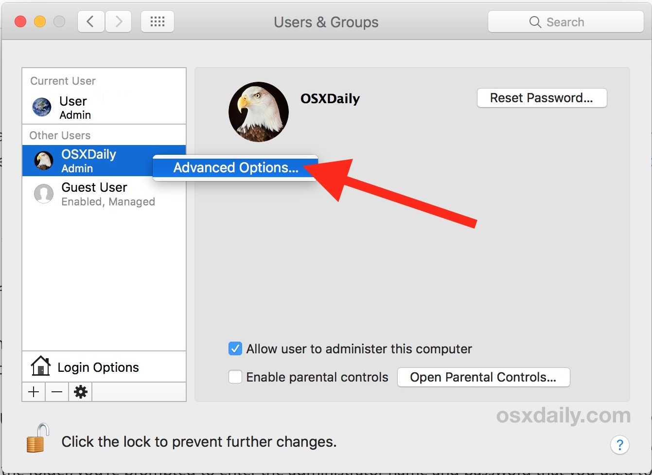 Scegli Opzioni avanzate per cambiare la directory home dell'utente su Mac