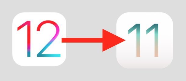 Come effettuare il downgrade di iOS 12 beta su iOS 11