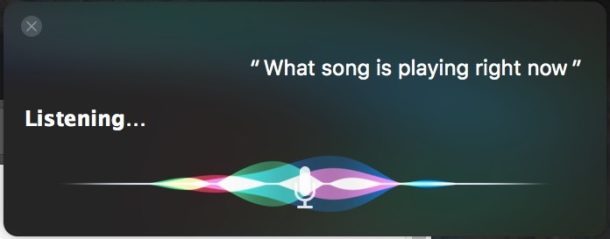 Identifica quale canzone sta riproducendo su Mac con Siri