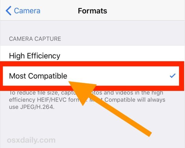Cambia il formato immagine della videocamera iPhone come predefinito in JPEG