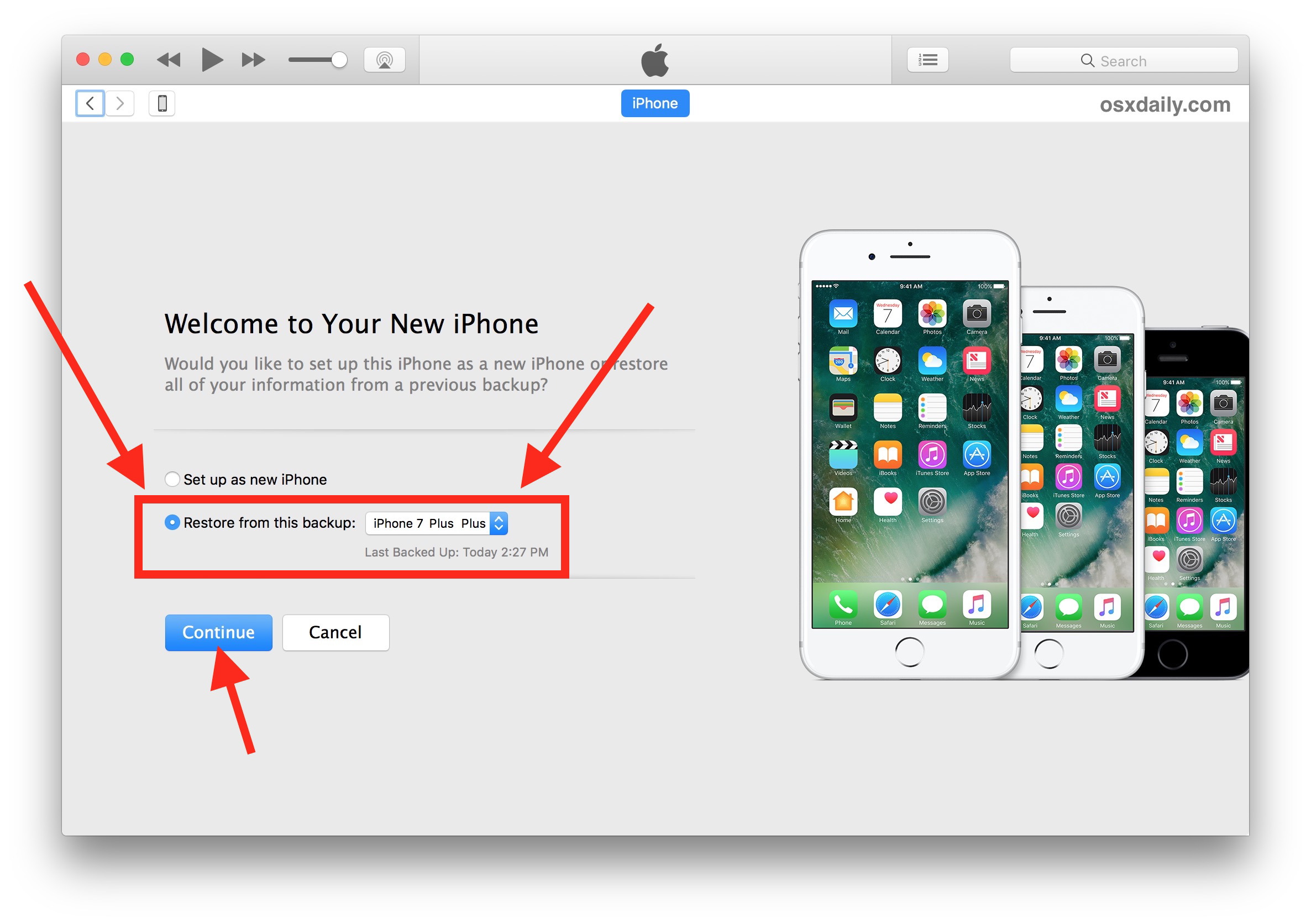 Scegli il backup di iTunes per ripristinare il nuovo iPhone X