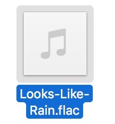 Flac file audio
