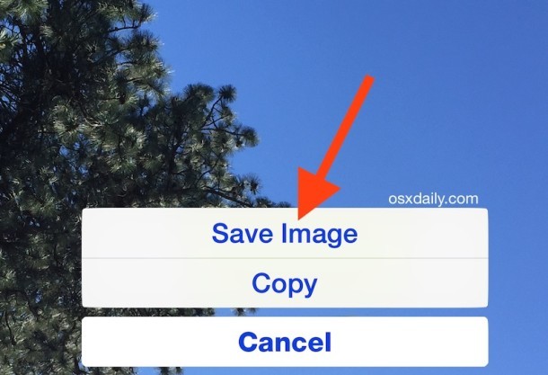 Tocca e tieni premuto per salvare un'immagine da Mail su iPhone e iPad