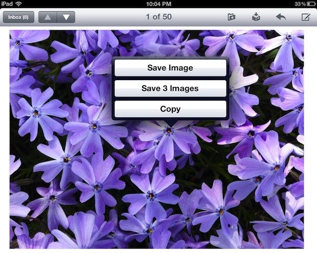 Salva un'immagine o immagini dall'app Mail in Safari su iPad