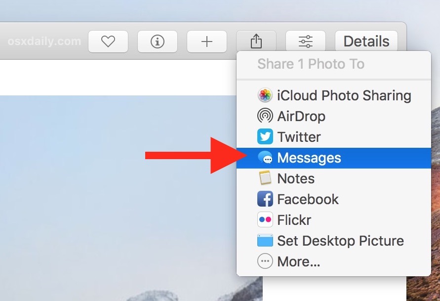 Scegli come condividere la tua foto o il tuo video da Foto su Mac