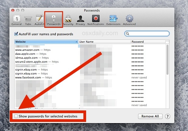 Mostra le password per un sito web in Safari per Mac
