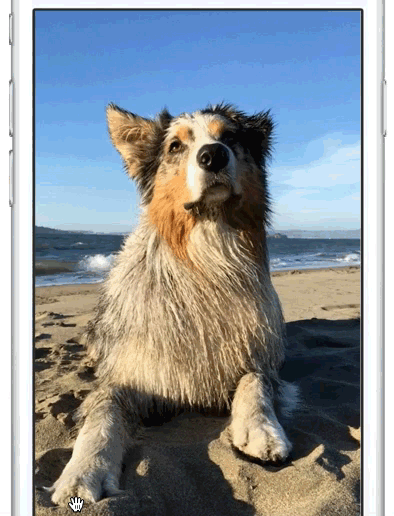 Esempio di foto dal vivo di cane di Apple