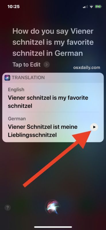 Riproduci la traduzione della lingua con Siri in iOS