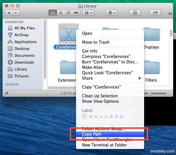 Copia un percorso di file o cartella tramite un servizio in Mac OS X.