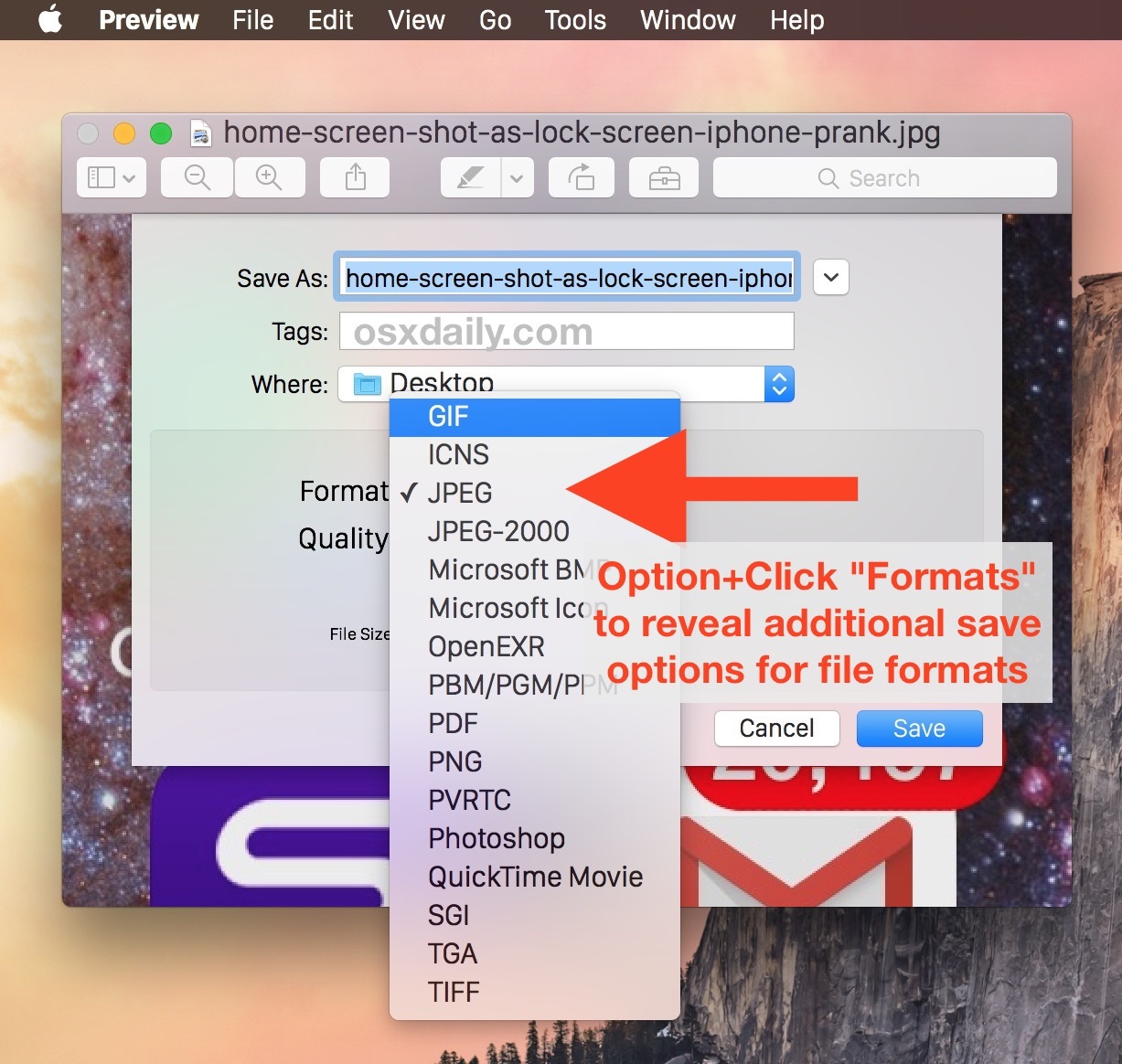 Accedi a Opzioni di esportazione di formato immagine alternativo nell'app Anteprima di Mac OS X.