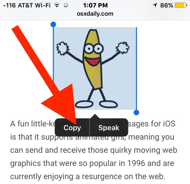 Copia la GIF animata che vuoi inviare nei messaggi