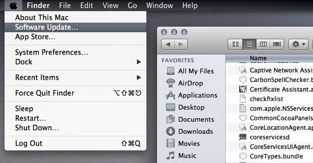 Aspetto personalizzato di Mac OS X in scala di grigi